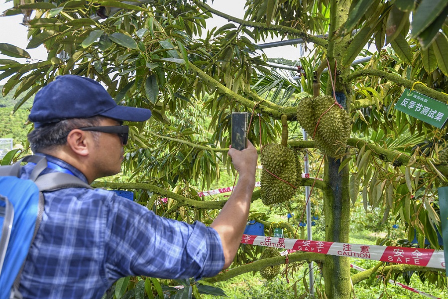 China, ASEAN Tubuhkan Perikatan Inovasi Sains dan Teknologi Durian