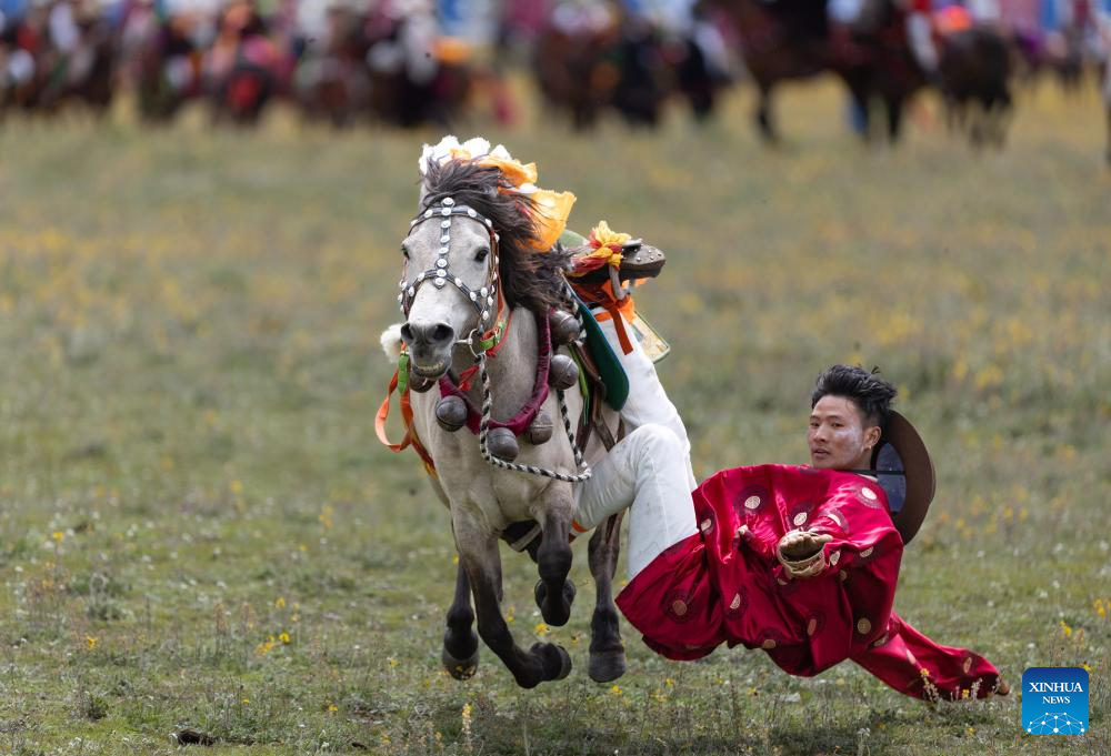 Seorang penunggang menunjukkan kemahirannya di sebuah balapan lumba kuda di Kaunti Litang, Wilayah Autonomi Tibet Garz, Provinsi Sichuan, barat daya China pada 30 Julai 2024. Satu acara lumba kuda membuka tirainya di Kaunti Litang pada Selasa, menarik penyertaan hampir 1,000 pengembala dari serata kaunti dalam pelbagai aktiviti. (Xinhua/Jiang Hongjing)