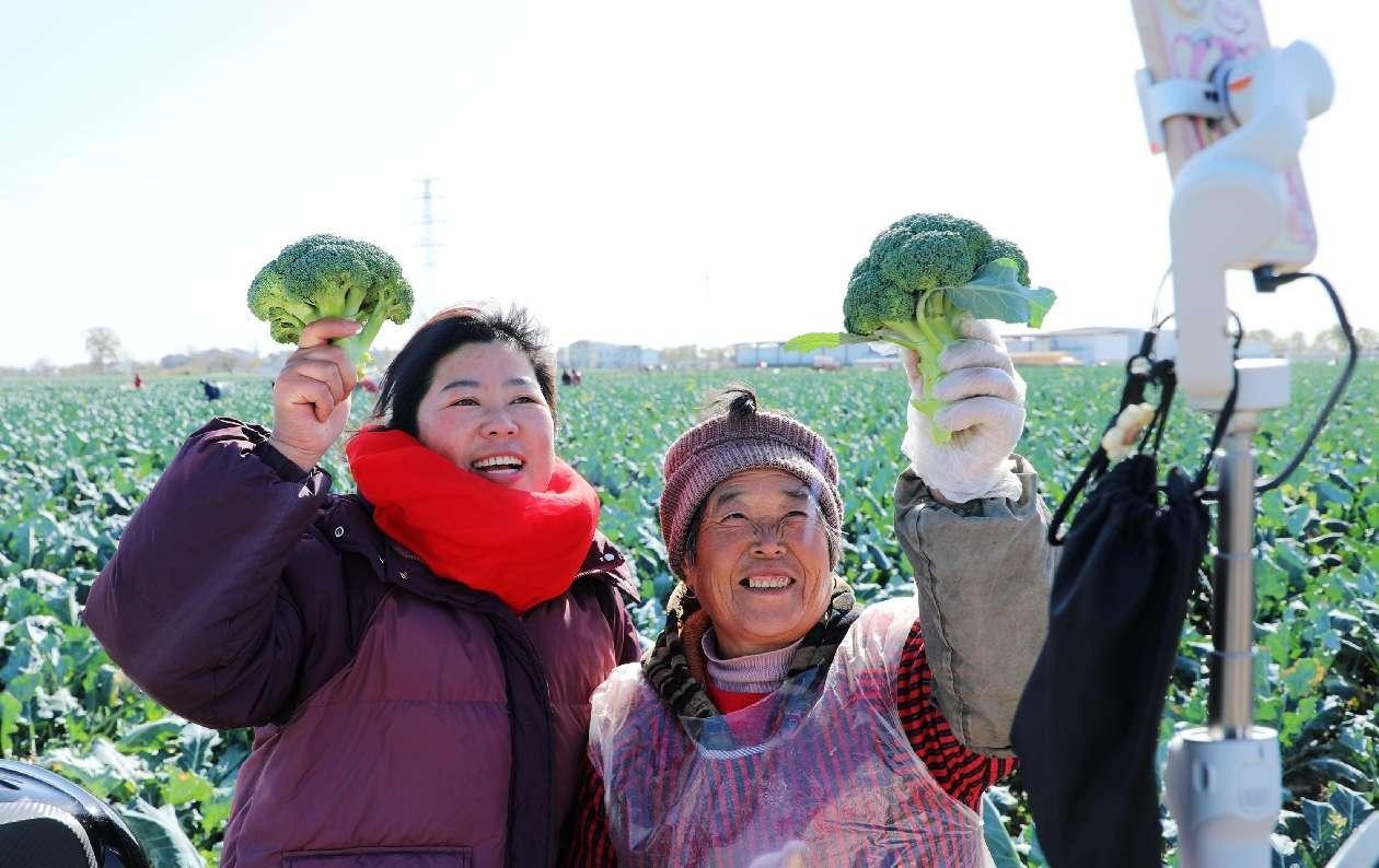 Petani menggunakan penstriman langsung untuk mempromosi produk masing-masing di tempat penanaman brokoli di kampung Wuzhai, pekan Zhengwu, Fuyang di Provinsi Anhui timur China pada 28 November 2024. (People’s Daily Online/Su Fei)